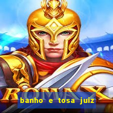 banho e tosa juiz de fora